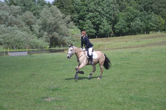 reitertag 2013 244